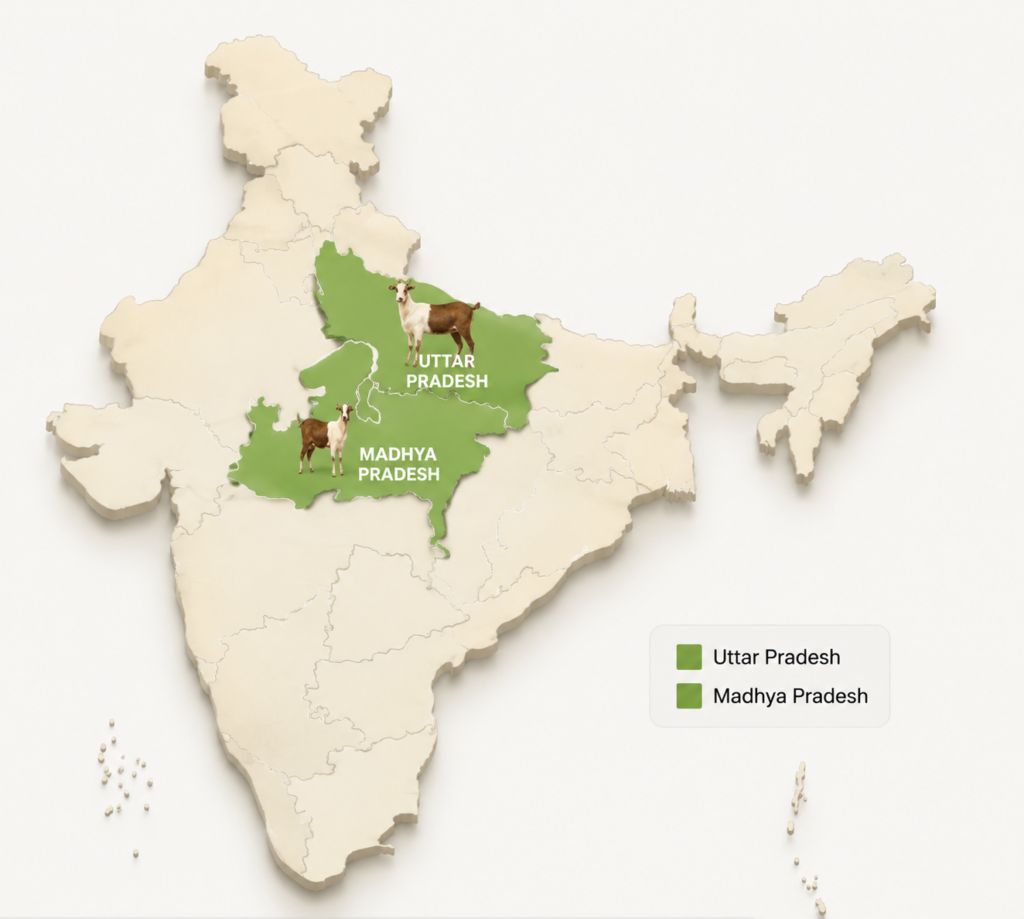 Bakri palan yojana UP aur MP state wise subsidy details map